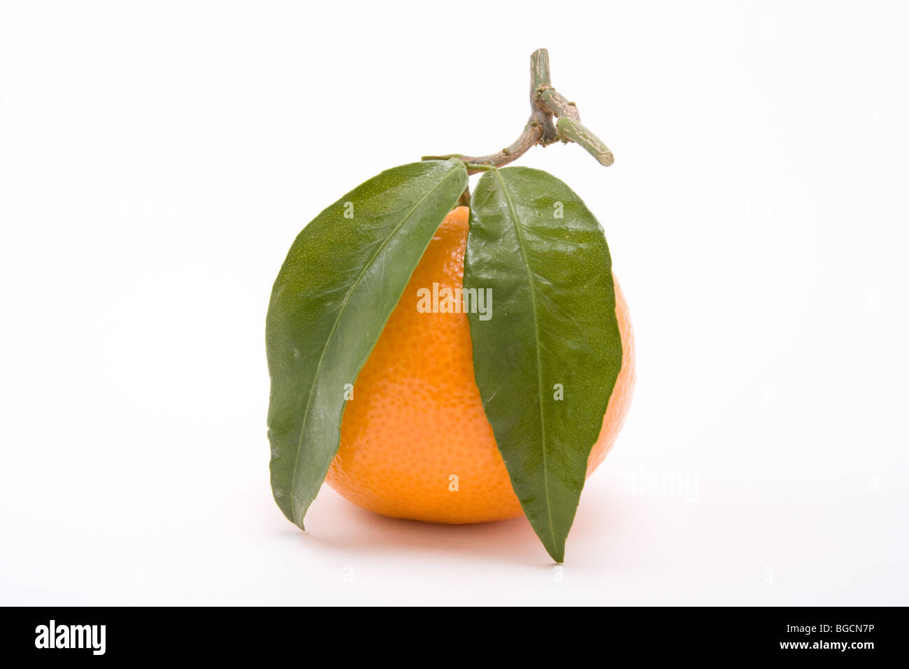 Orange clémentine avec feuille isolés contre fond blanc. Banque D'Images