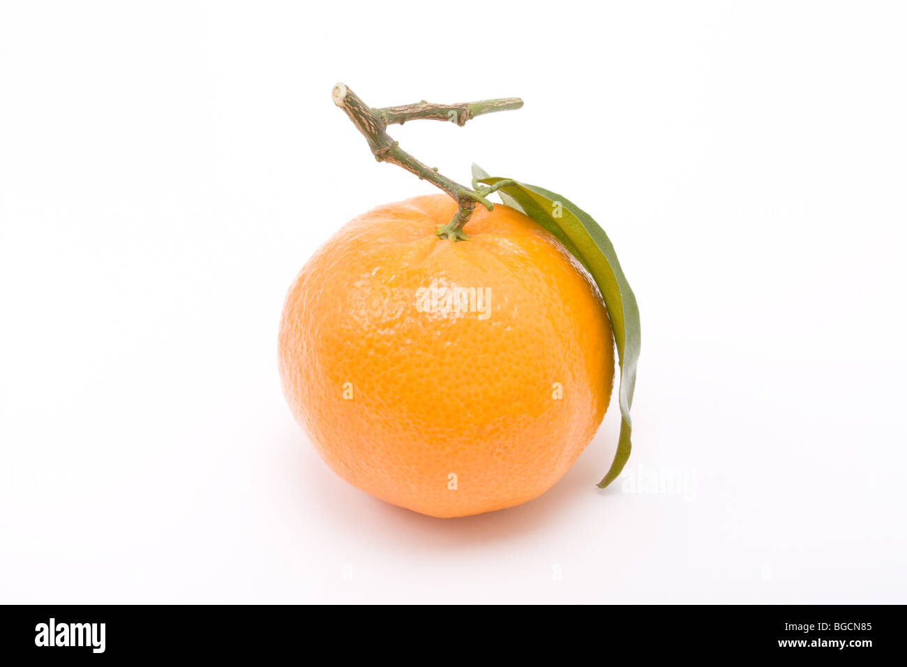 Orange clémentine avec feuille isolés contre fond blanc. Banque D'Images