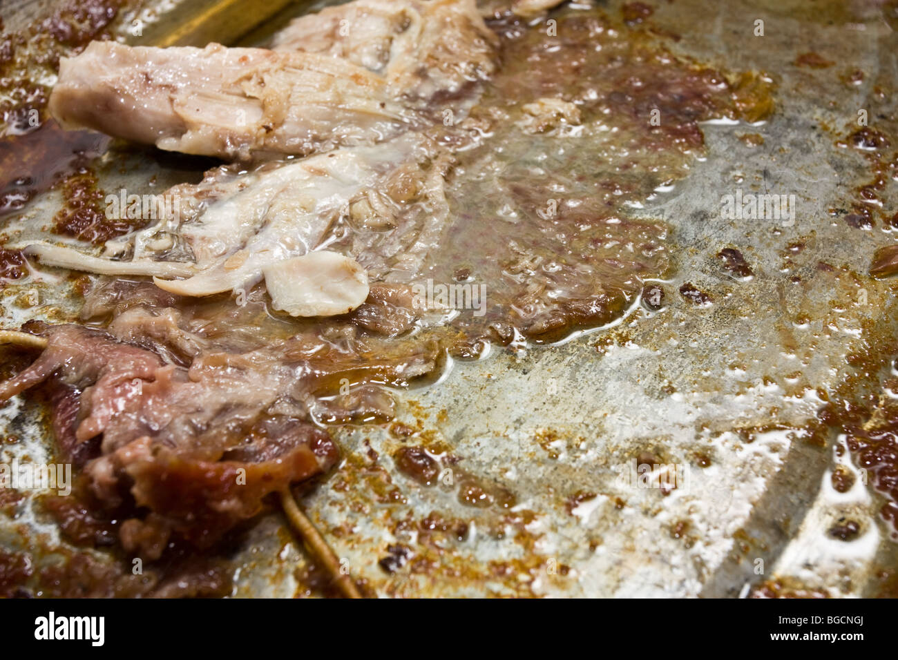 La base d'une morts après le poulet / La Turquie a été retiré après la cuisson. Banque D'Images