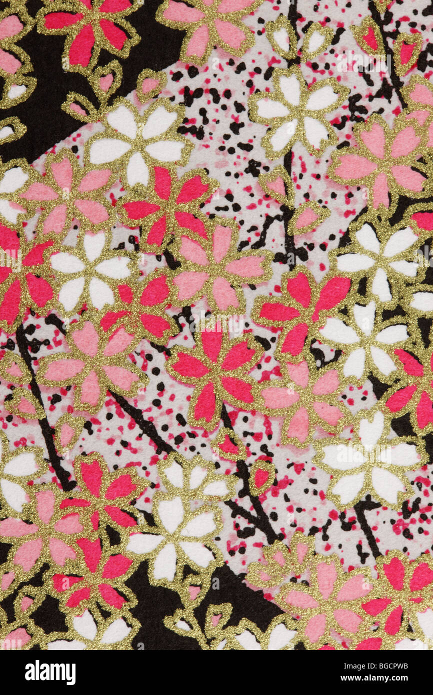 Papier peint de style japonais Banque D'Images