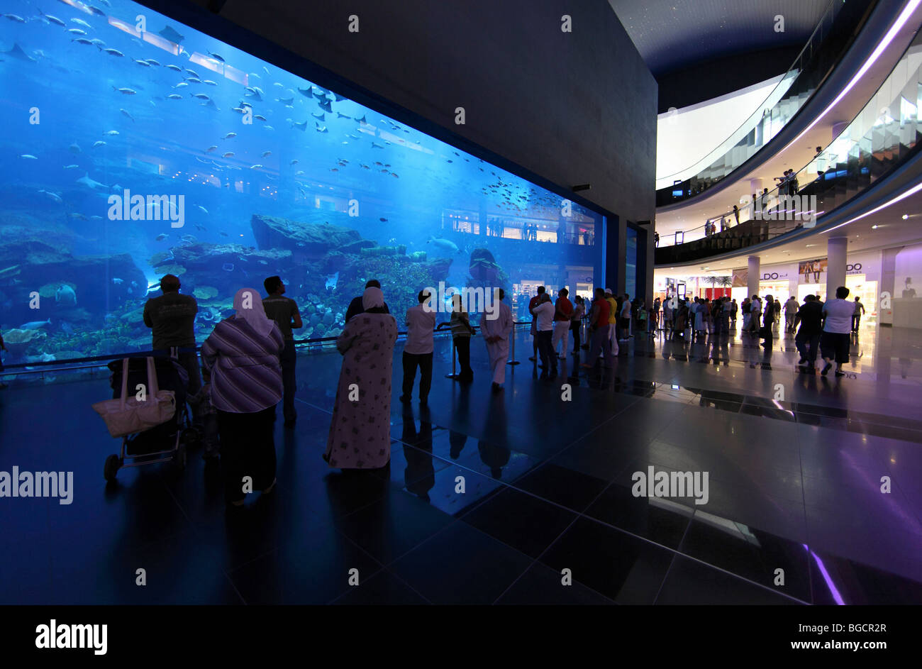 Les visiteurs de l'Aquarium de Dubaï au centre commercial de Dubaï, Émirats Arabes Unis Banque D'Images