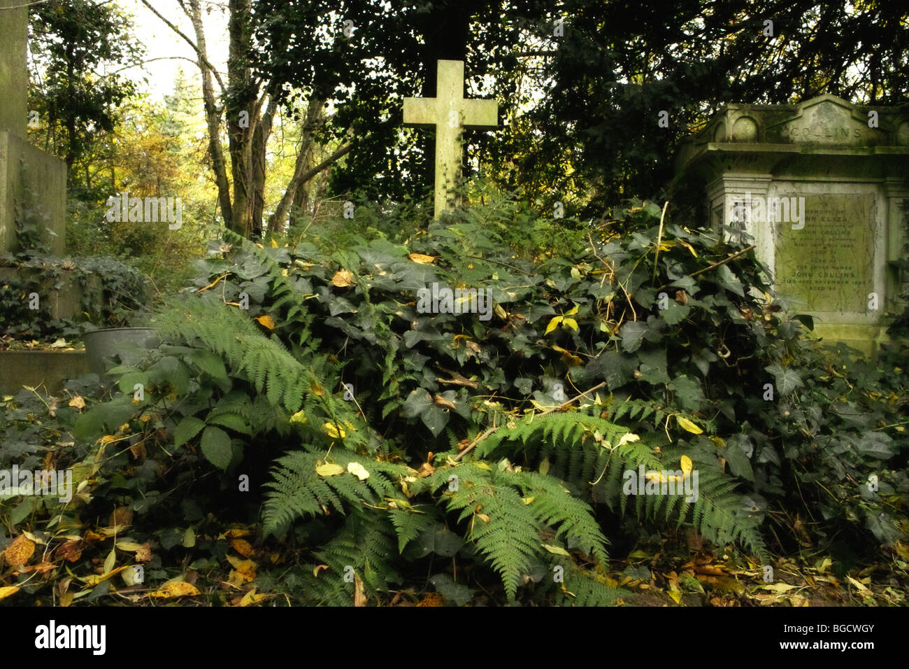 Pierres tombales et sous-bois dans le Cimetière de Highgate à Londres Angleterre Royaume-uni Banque D'Images