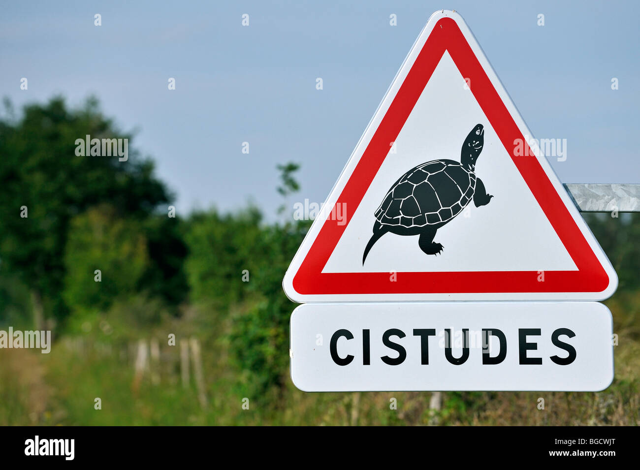 Panneau d'avertissement / panneau de circulation pour l'étang d'eau douce / tortues / tortue (Emys orbicularis) crossing road, La Brenne, France Banque D'Images
