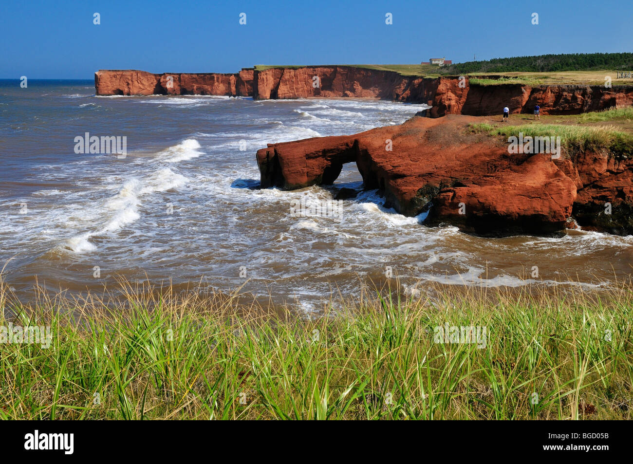 Les falaises rouges à la Belle Anse, Ile du Cap aux Meules, les îles de la Madeleine, Îles de la Madeleine, Québec Maritime, le Canada, l'Amer Banque D'Images