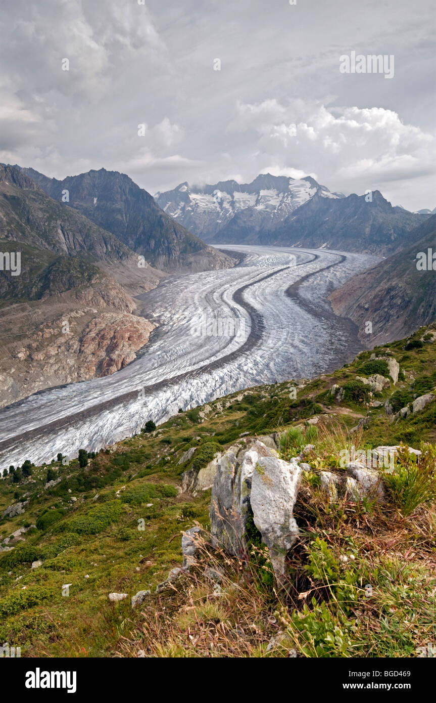 Glacier en face du produit brut Wannenhorn et Klein Wannenhorn Montagne, Alpes Bernoises, Valais, Suisse, Europe Banque D'Images
