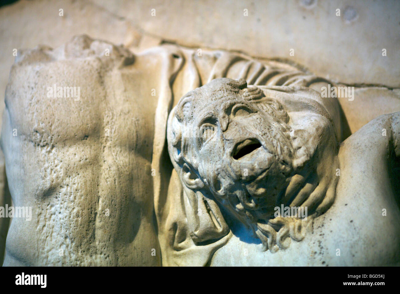 Détails de l'meotopes ou panneaux sculptés du Parthénon montrant lutte entre Lapiths et les centaures au British Museum Banque D'Images