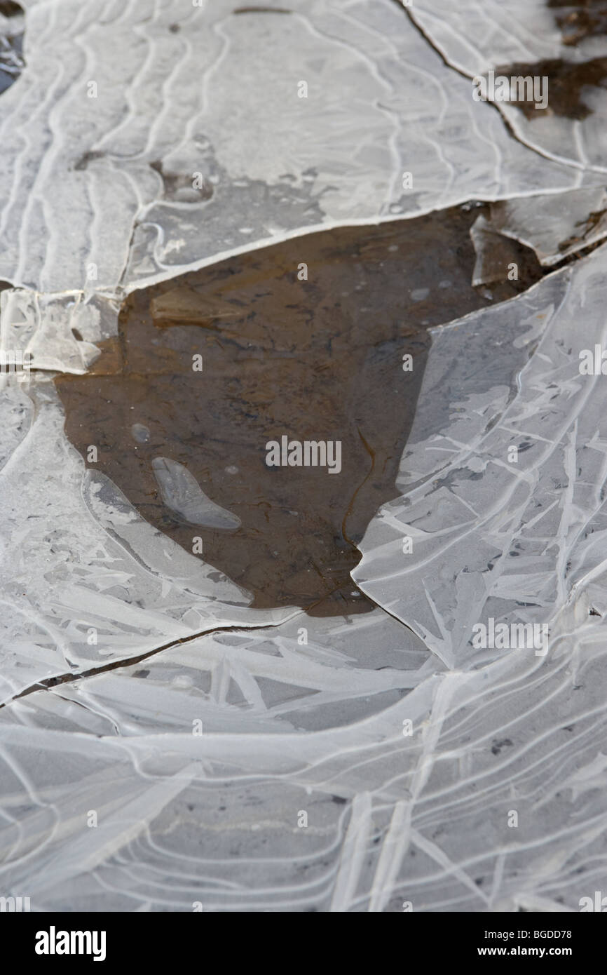 Trou dans la glace mince sur la flaque gelée par un froid matin d'hiver glacial en Irlande Banque D'Images