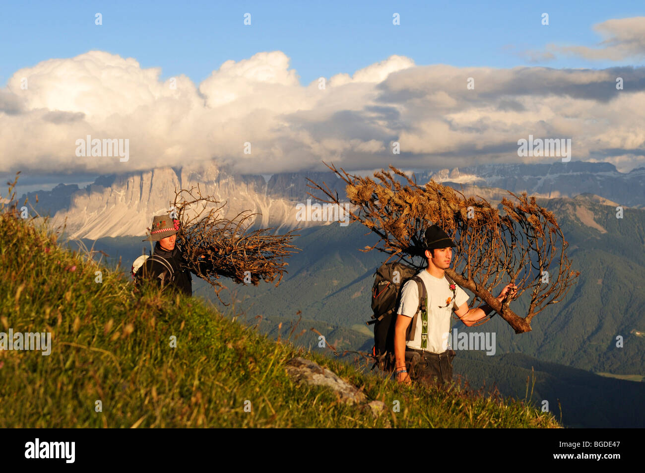 Les jeunes hommes portant le bois pour l'Herz-Jesu-Feuer, Sacré Coeur feu, Brixen, Tyrol du Sud, Italie, Europe Banque D'Images