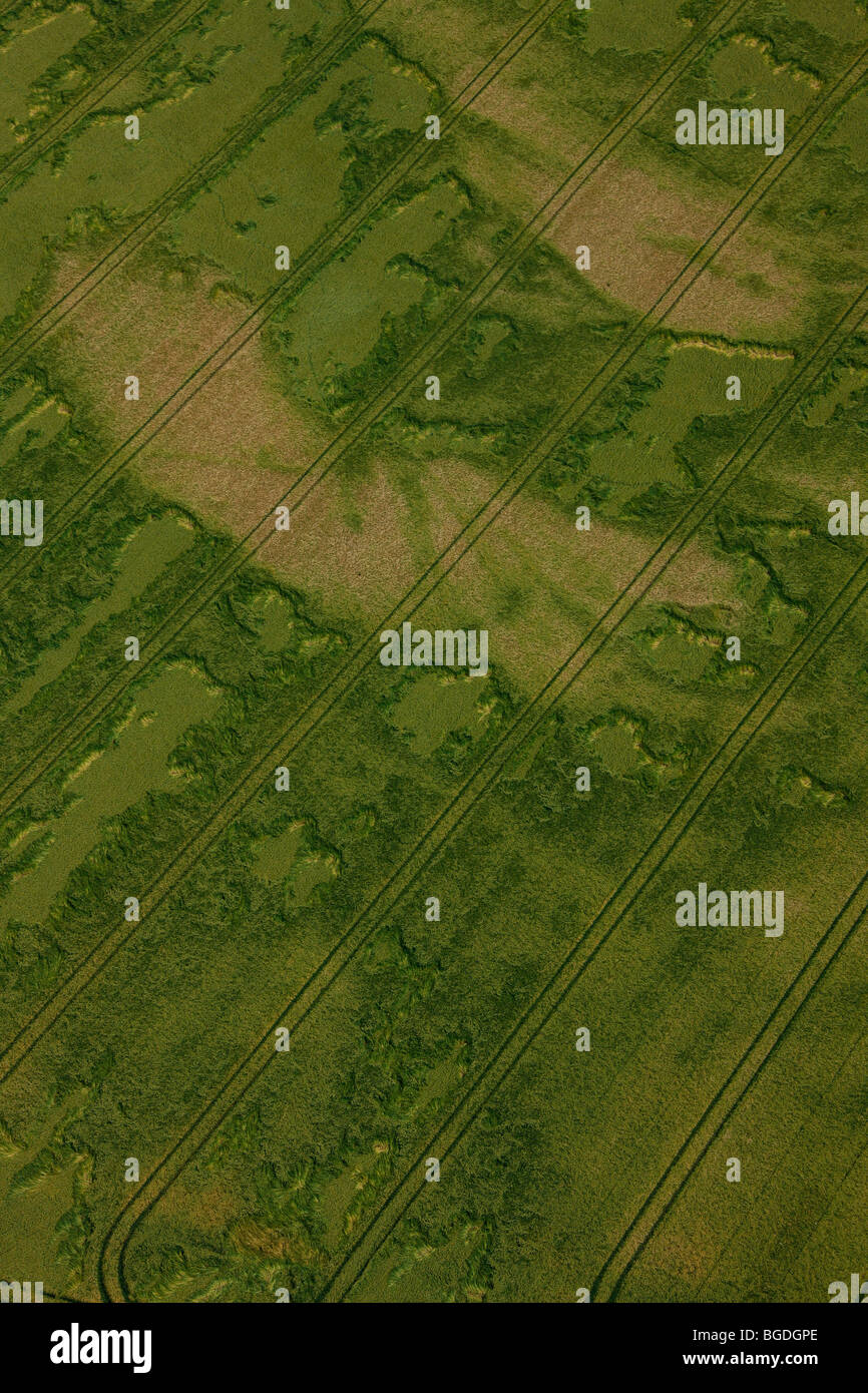 Photo aérienne, des gisements de sel dans le sol, dans un champ, l'hôtel Haus Vogelsang, Ahsen, Datteln, région de la Ruhr, en Rhénanie du Nord-Westphalie, Germ Banque D'Images