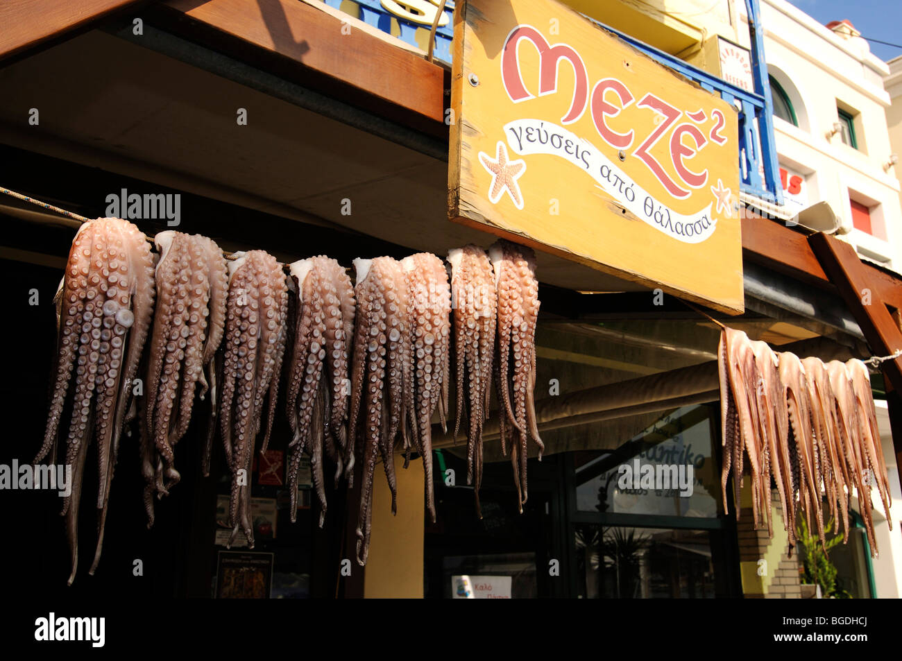 Pendu des poulpes à Paralia, le port de Naxos, Cyclades, Grèce, Europe Banque D'Images