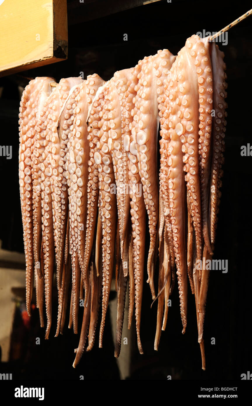 Pendu des poulpes à Paralia, le port de Naxos, Cyclades, Grèce, Europe Banque D'Images