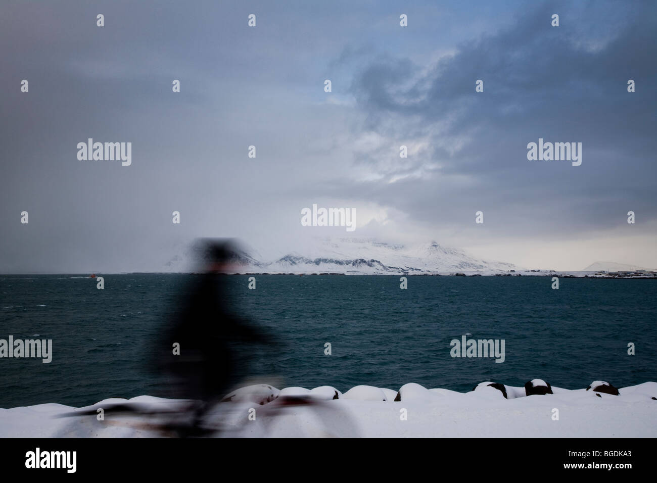 L'homme sur le vélo. Reykjavik, Islande. Banque D'Images