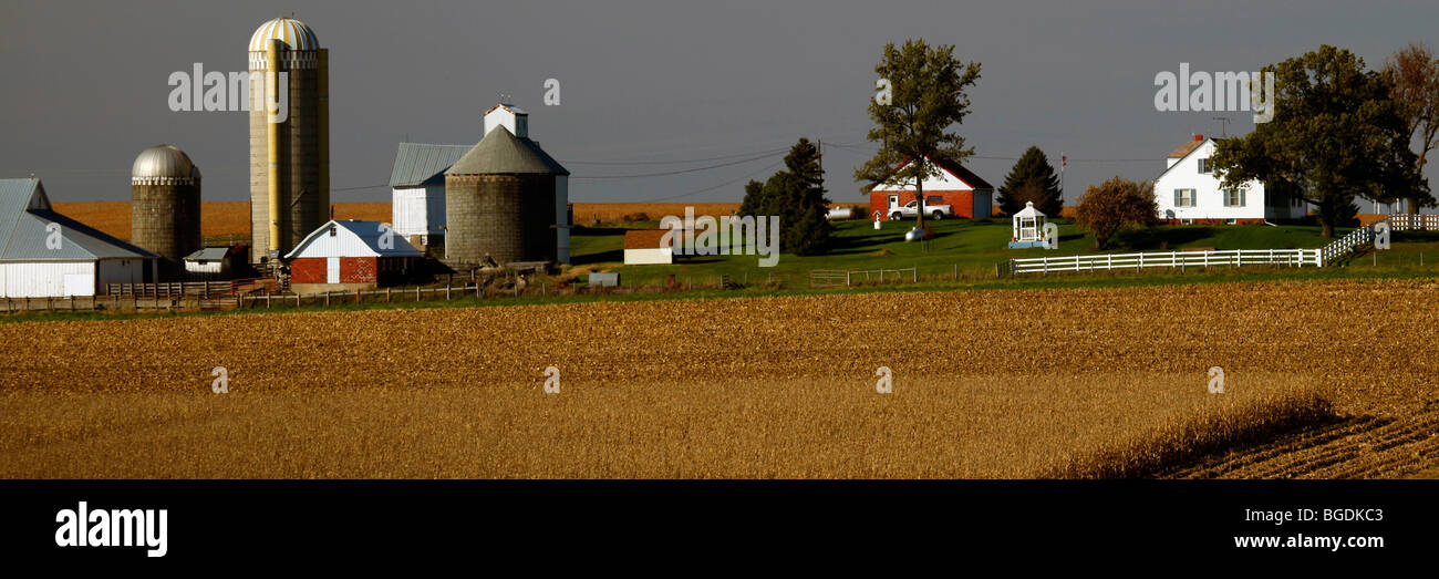 Ferme et de champs dans la région de Midwest des Etats-Unis (Iowa) Banque D'Images