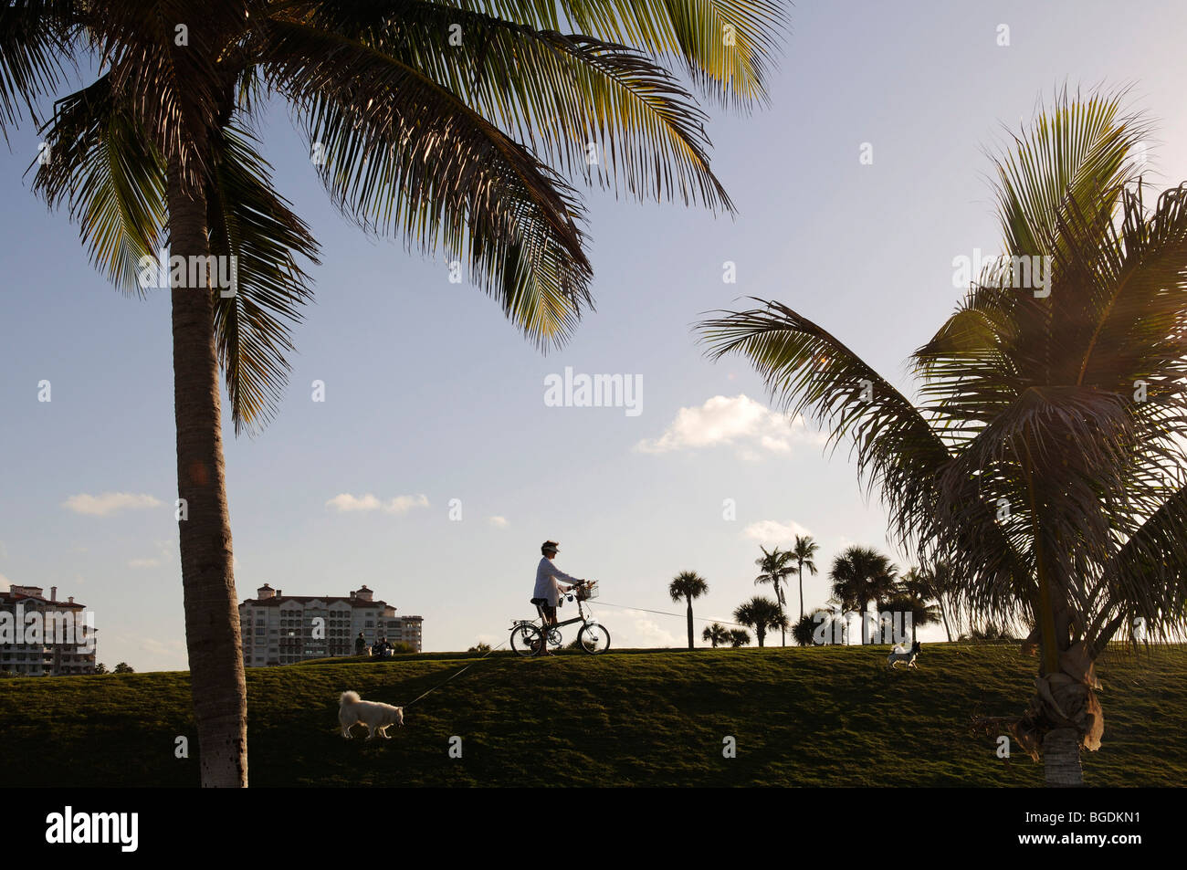 Les cyclistes, South Pointe Park, Miami South Beach, Florida, USA Banque D'Images