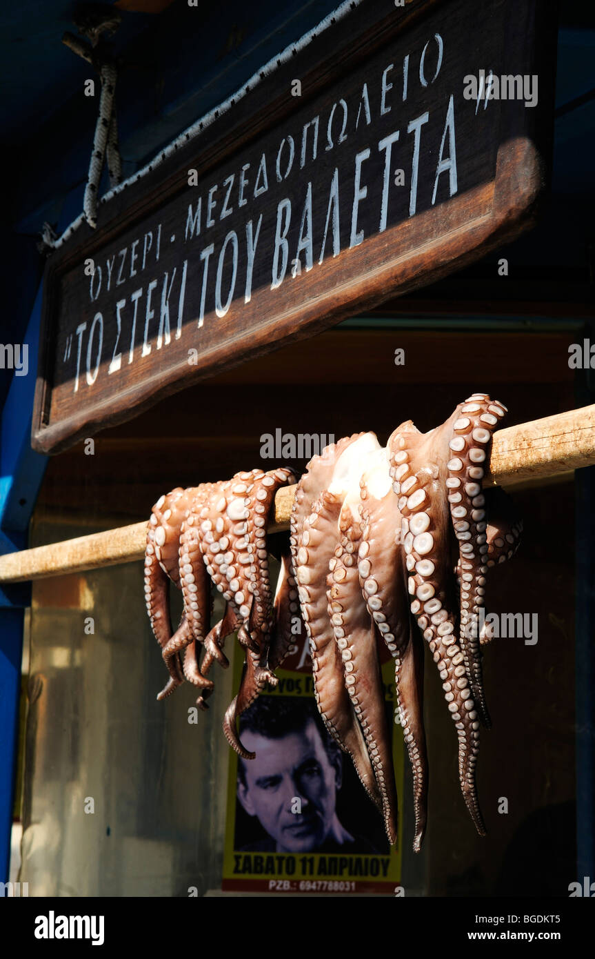 En face d'un poulpe ouzeria, taverne, Naxos, Cyclades, Grèce, Europe Banque D'Images