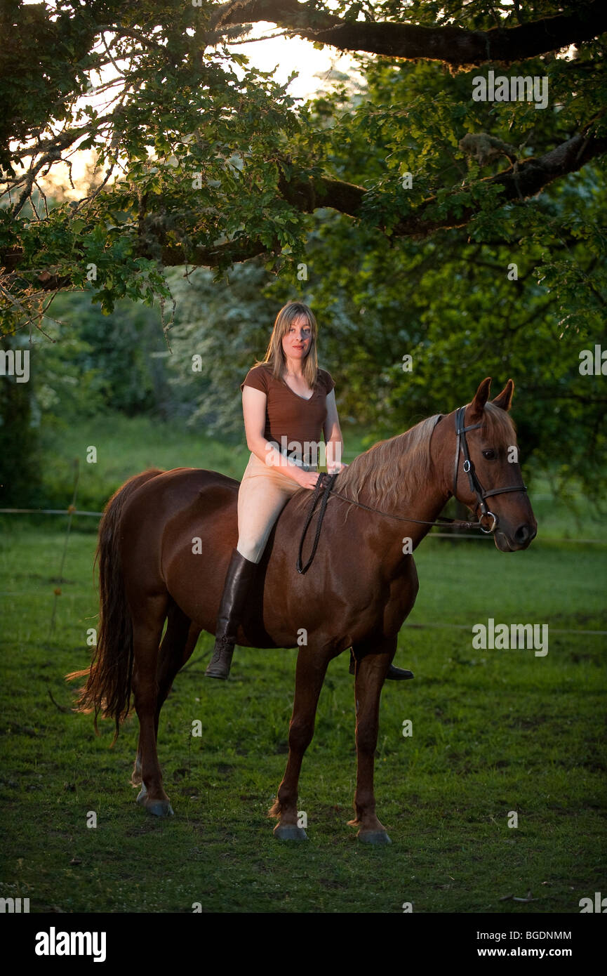 Femme assise sur un quarter horse Banque D'Images