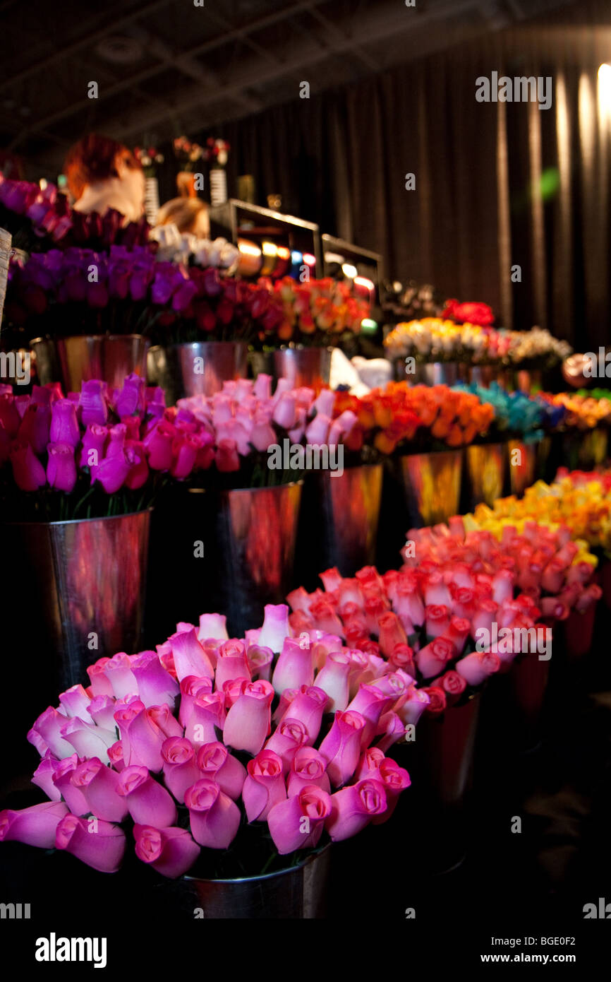 Fleurs roses en bois de différentes couleurs rouge, orange, rose, vert, violet, bleu, citron vert Banque D'Images
