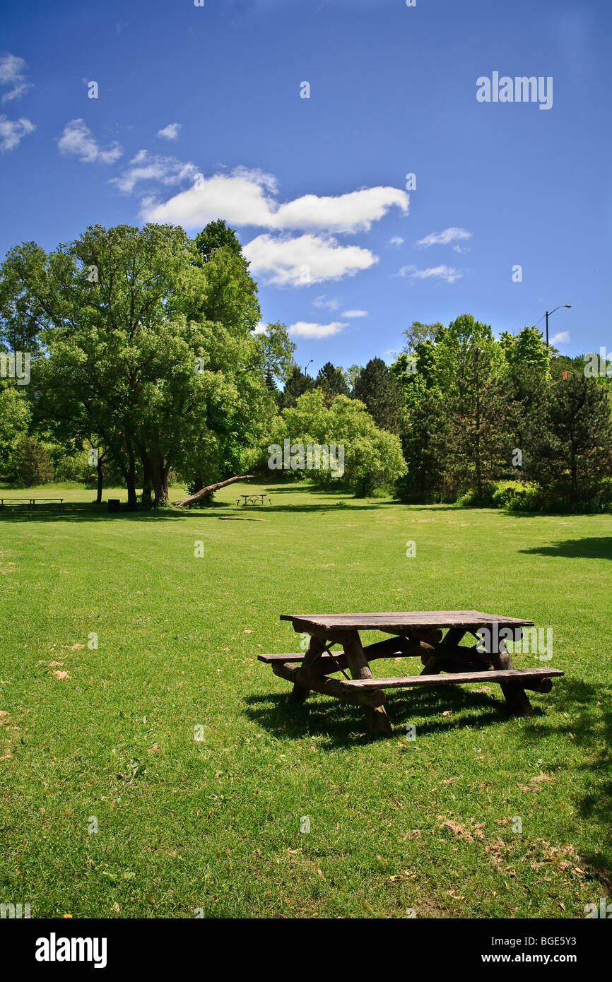 L'herbe du parc journée ensoleillée d'une table de pique-nique Banque D'Images