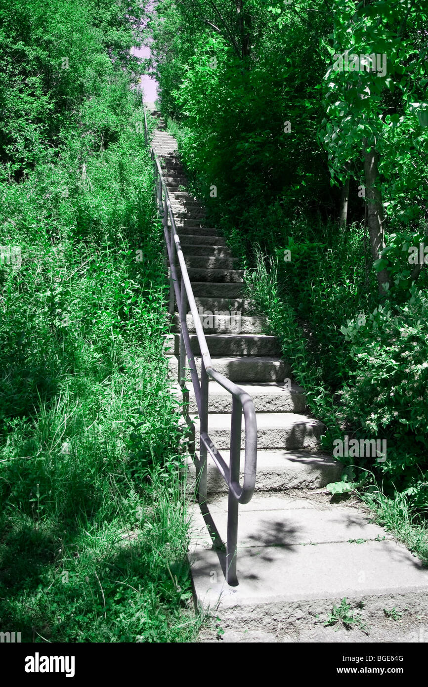 Escaliers en béton metal rail park green Banque D'Images