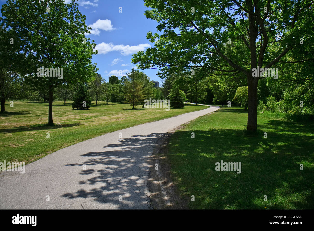 Park arbre herbe 'blue sky' Banque D'Images