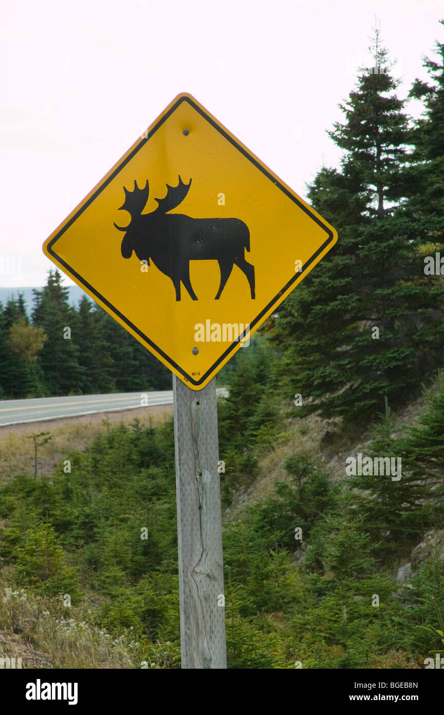 Moose crossing sign, Hautes-terres du Cap-Breton, en Nouvelle-Écosse. Banque D'Images