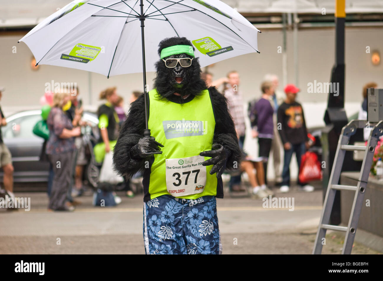 Great Gorilla charity run, Londres Banque D'Images