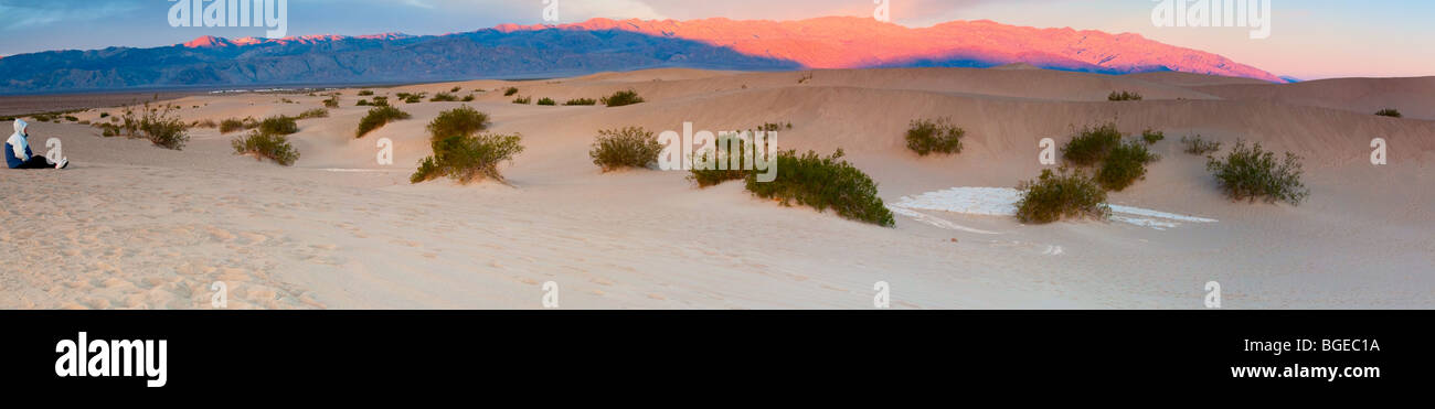C'est un panorama de la Mesquite dunes près de Stovepipe Wells dans Death Valley National Park. Banque D'Images