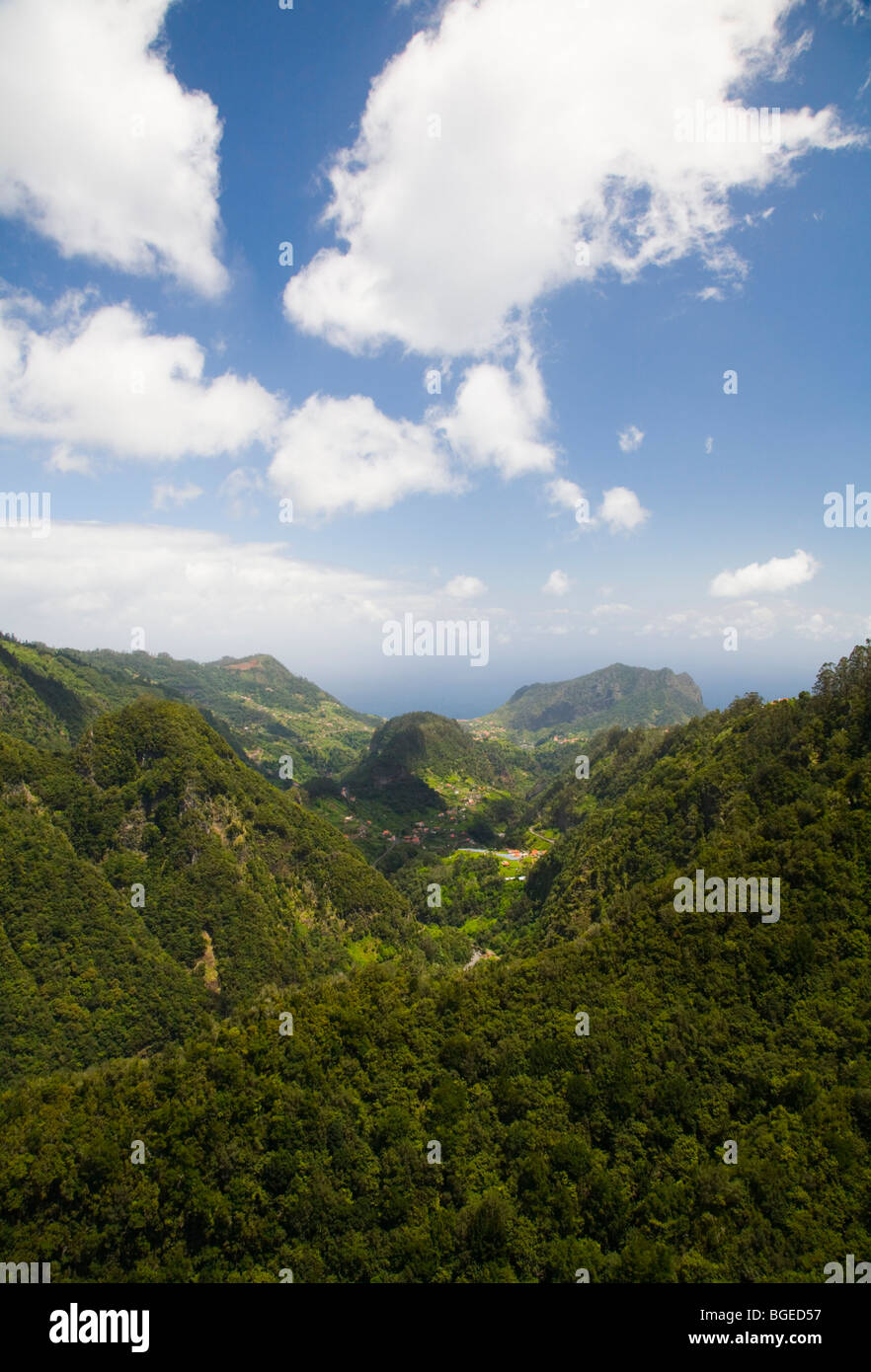 Forêt tropicale de Madère vue de Ribeiro Frio Banque D'Images