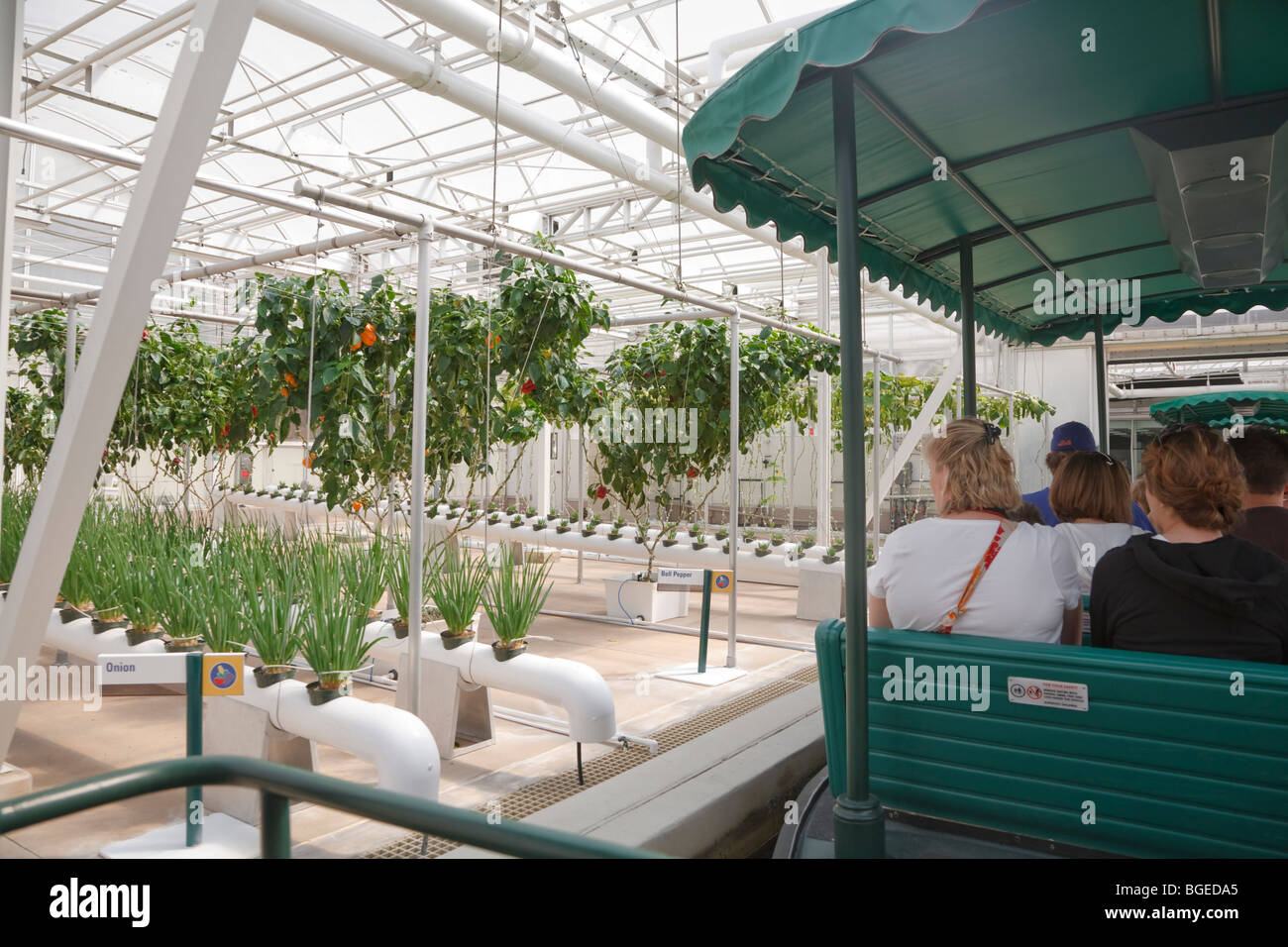 Les visiteurs de l'Epcot vivant avec la terre vue d'attraction un système hydroponique Banque D'Images