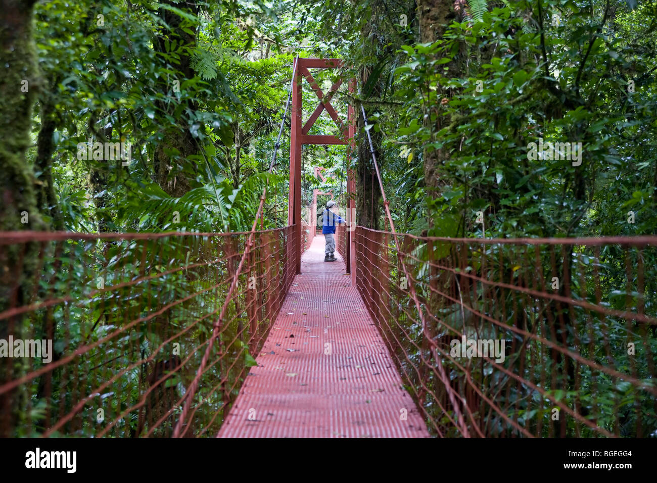 Un visiteur se tient sur un pont couvert dans la réserve de la Forêt Nuageuse de Monteverde, Costa Rica Banque D'Images