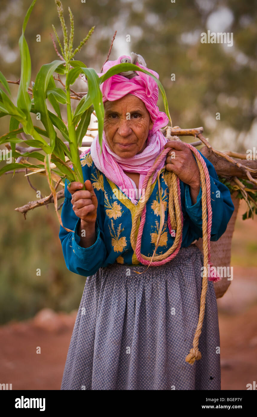 La province de OUARZAZATE, MAROC - femme berbère, de tiges de maïs au Ksar à Ait Benhaddou. Banque D'Images