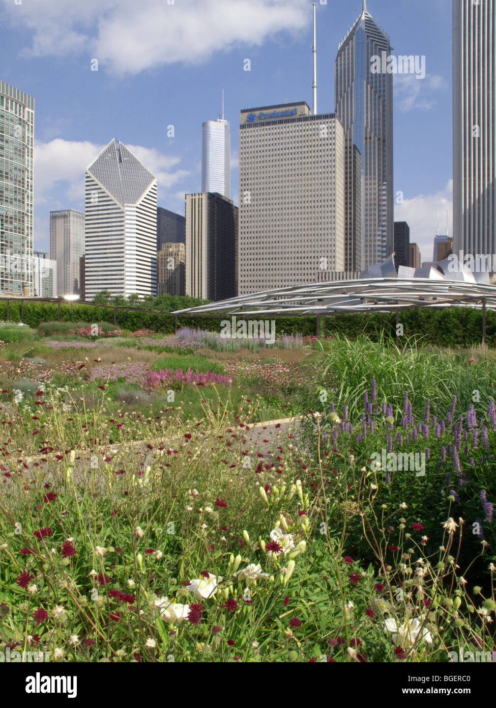 L'Illinois Chicago Elk 1006 skyline du Millennium Park Lurie Garden Banque D'Images