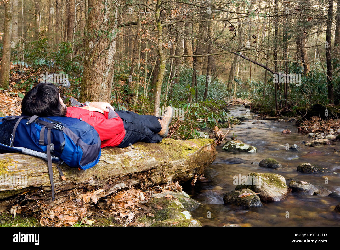 Backpacker reposant par creek - Daniel Ridge - Pisgah Forest National - près de Brevard, North Carolina, États-Unis Banque D'Images