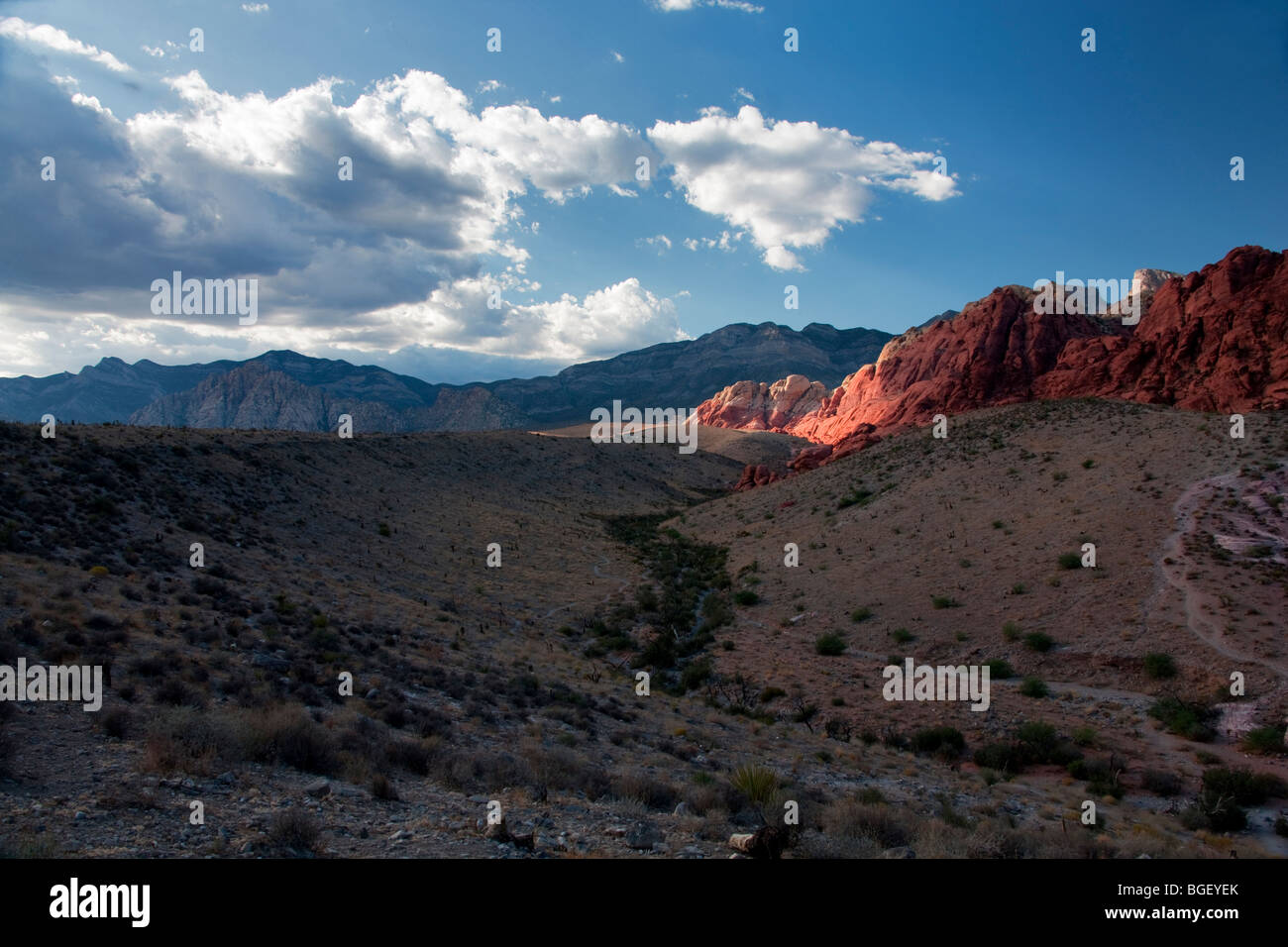 Rock formations in Red Rock Canyon National Conservation Area, Nevada Banque D'Images