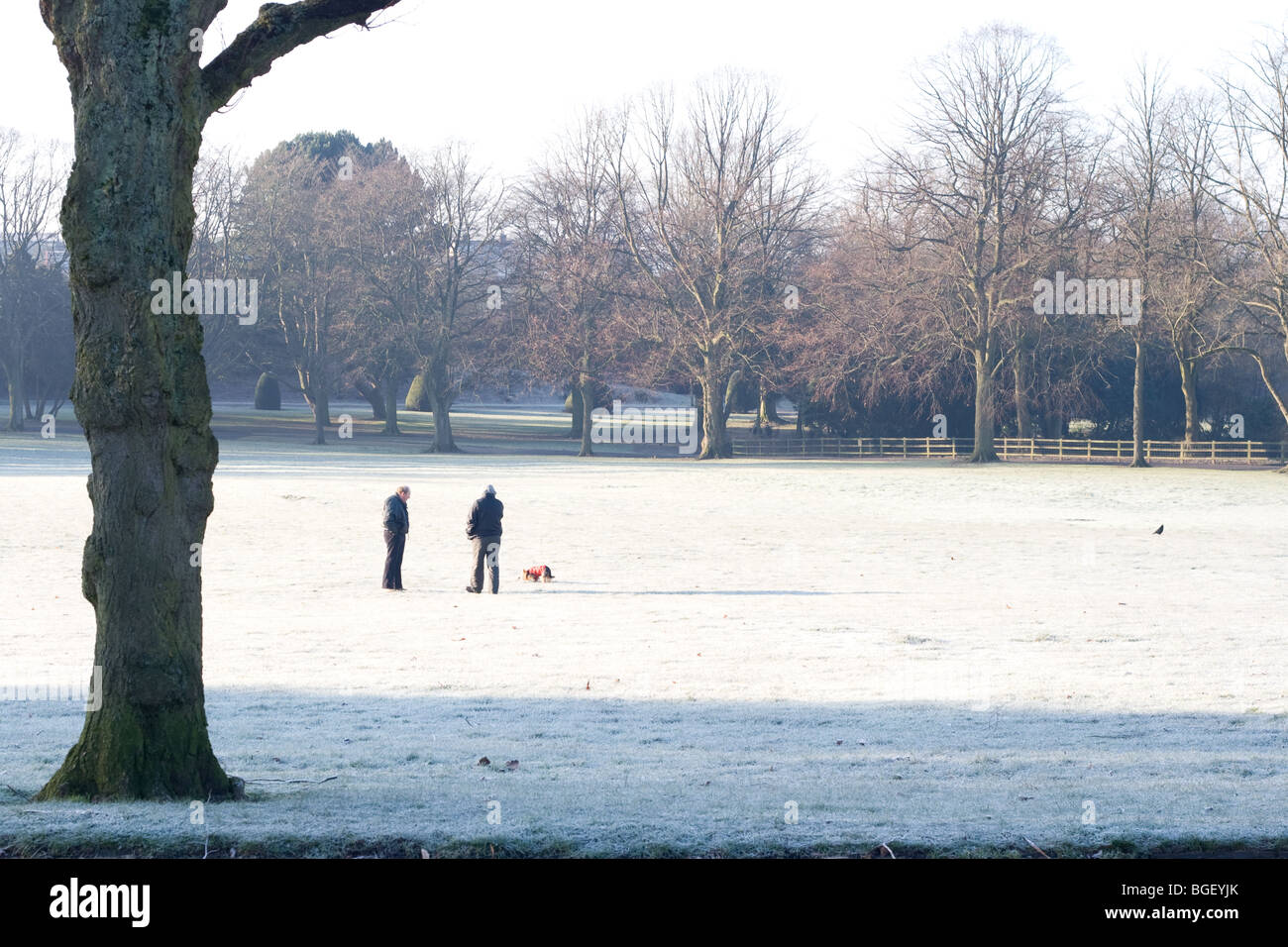 Promener le chien dans le parc en hiver Banque D'Images