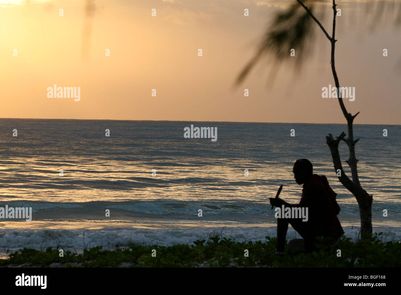 Silhouette d'un homme Masai assis sous un arbre avec un couteau sur une plage à Zanzibar, Tanzanie, Afrique Banque D'Images Silhouette d'un homme Masai assis sous un arbre avec un couteau sur une plage à Zanzibar, Tanzanie, Afrique Banque D'Images