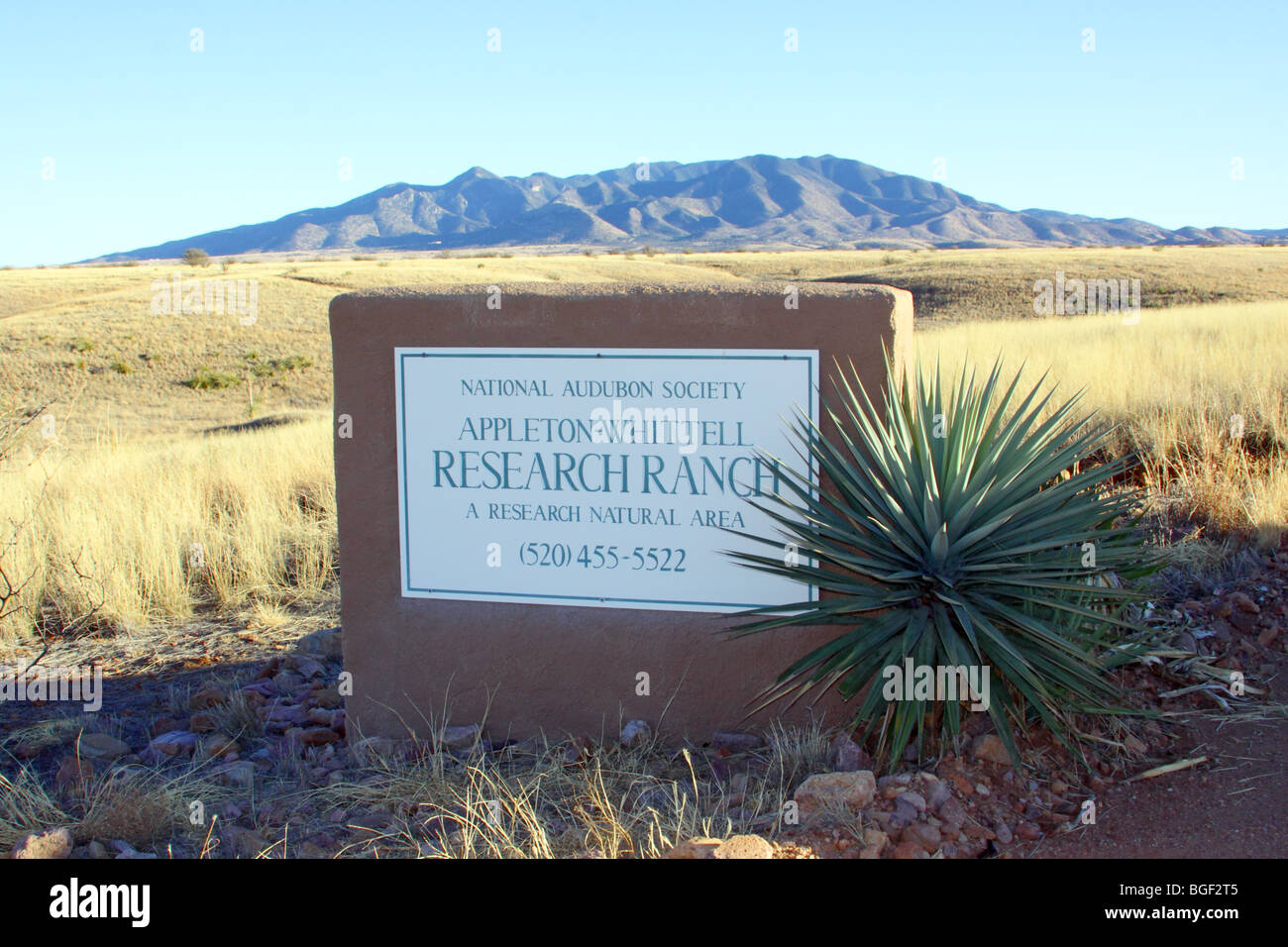 Porte nord de la National Audubon Society, Appleton-Whittell Ranch Recherche près d'Elgin, Arizona, United States. Banque D'Images