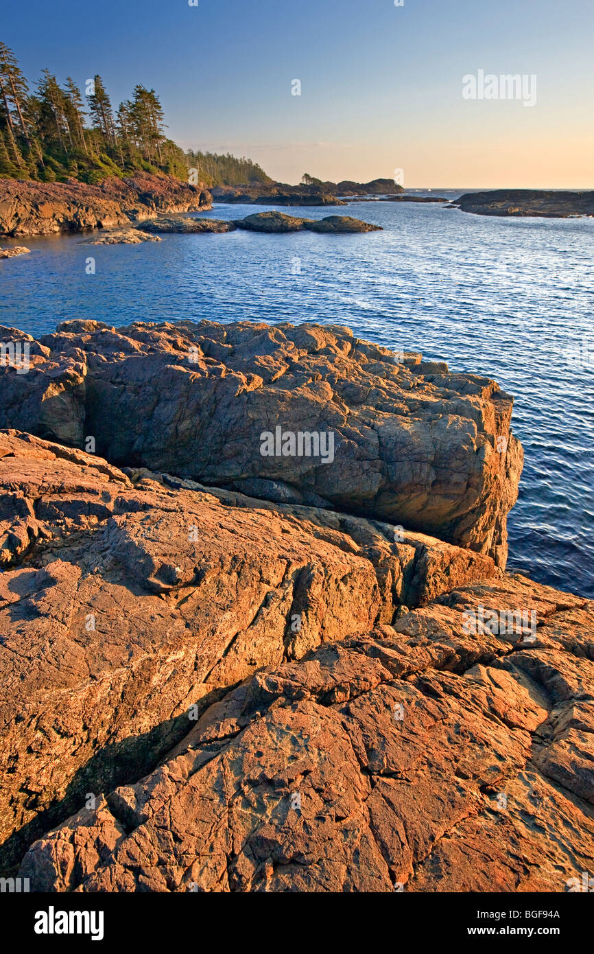 Les affleurements rocheux de South Beach, parc national Pacific Rim, la plage Long, réserve de biosphère de l'UNESCO de Clayoquot Sound, sur la côte ouest, Banque D'Images