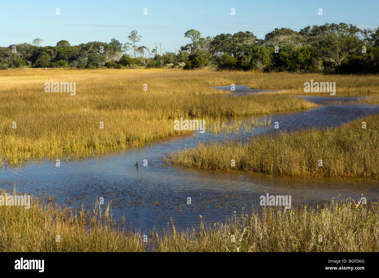 Marais côtier - Jekyll Island, Georgia USA Banque D'Images