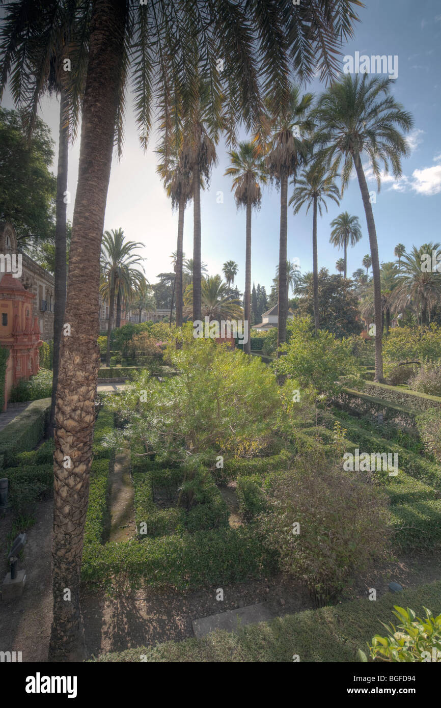 Jardin de las Damas, jardins de l'Alcazar, Séville, Andalousie, Espagne Banque D'Images