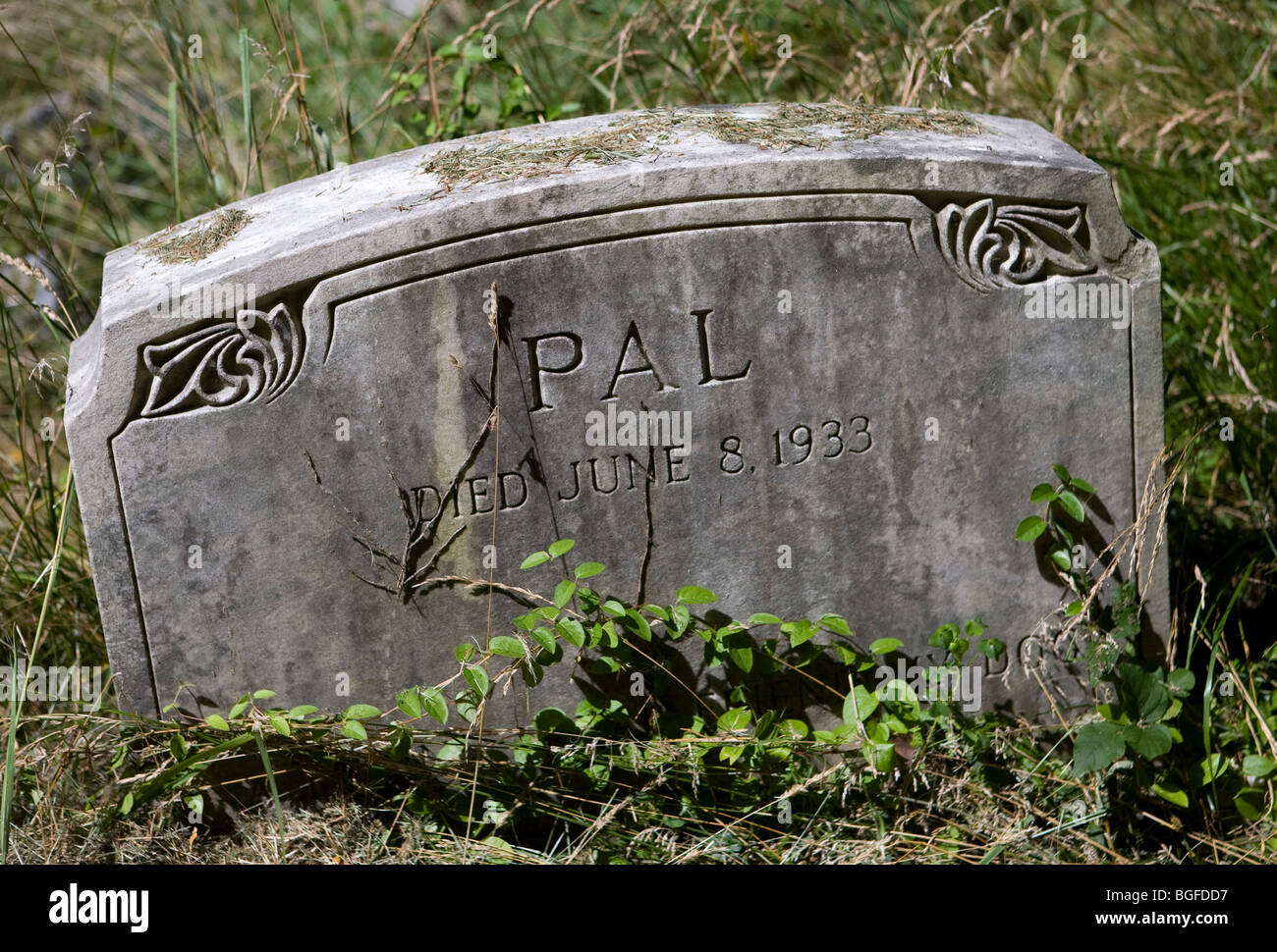 8 juillet 2009 – Silver Spring, Maryland – le cimetière pour animaux d'Aspin Hill situé dans la banlieue de Washington, D.C. est le deuxième plus ancien cimetière pour animaux de compagnie des États-Unis, datant de 1921. Ces dernières années, le cimetière, qui est actuellement géré par la Montgomery County Humane Society, a été remis en état, les dons à la Humane Society ayant chuté et les coûts de l'entretien ont augmenté. Banque D'Images