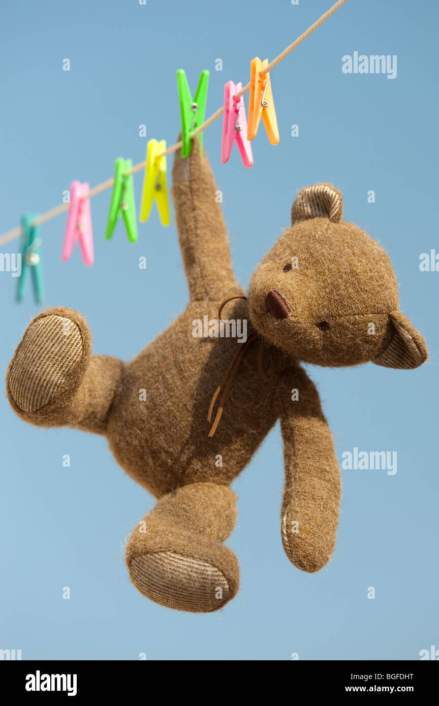 hanging teddy