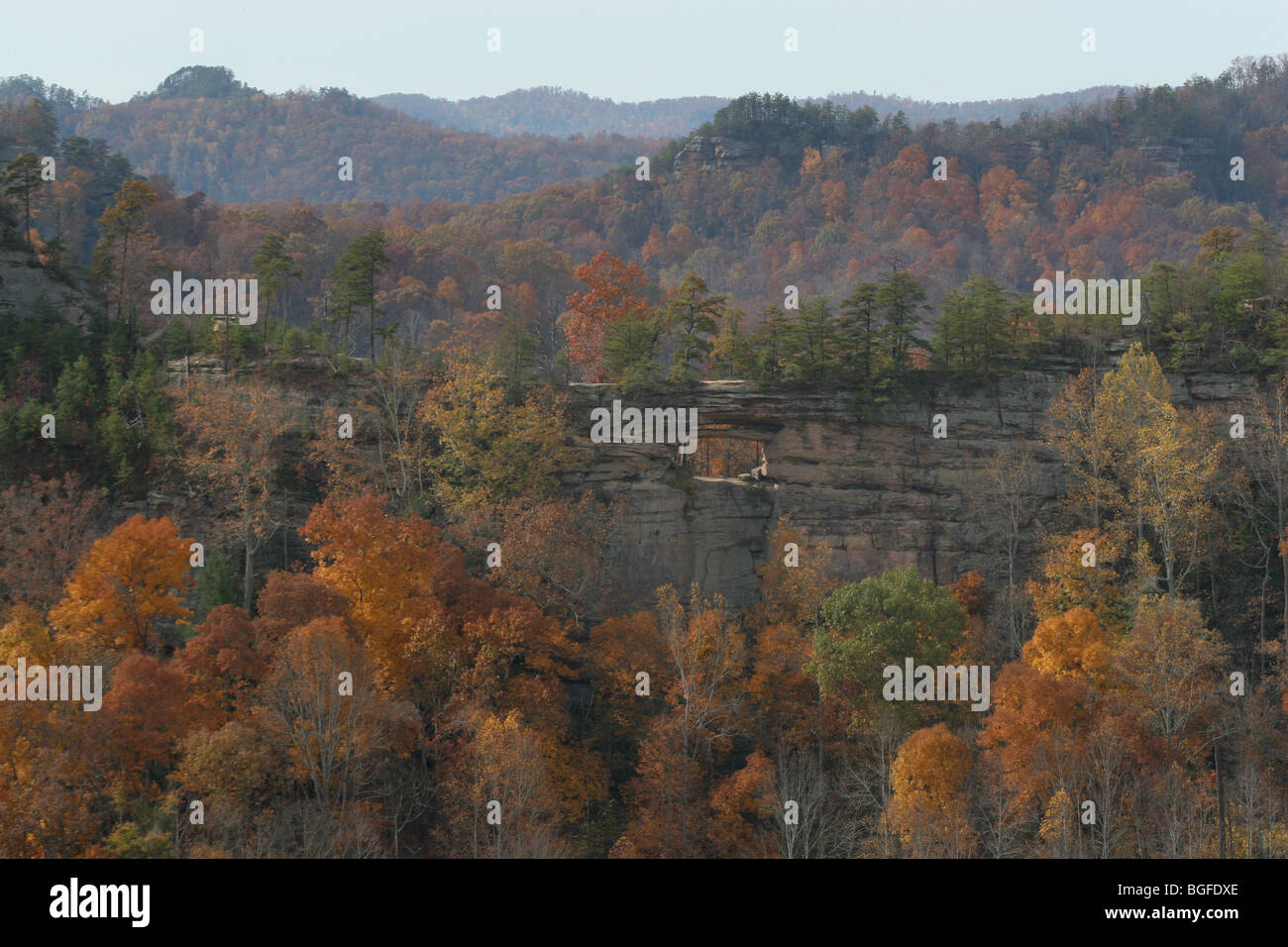 Red River Gorge Kentucky arc double couleur à l'automne des Appalaches Banque D'Images