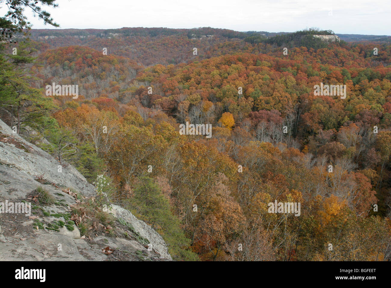 Red River Gorge Kentucky couleurs d'automne Banque D'Images
