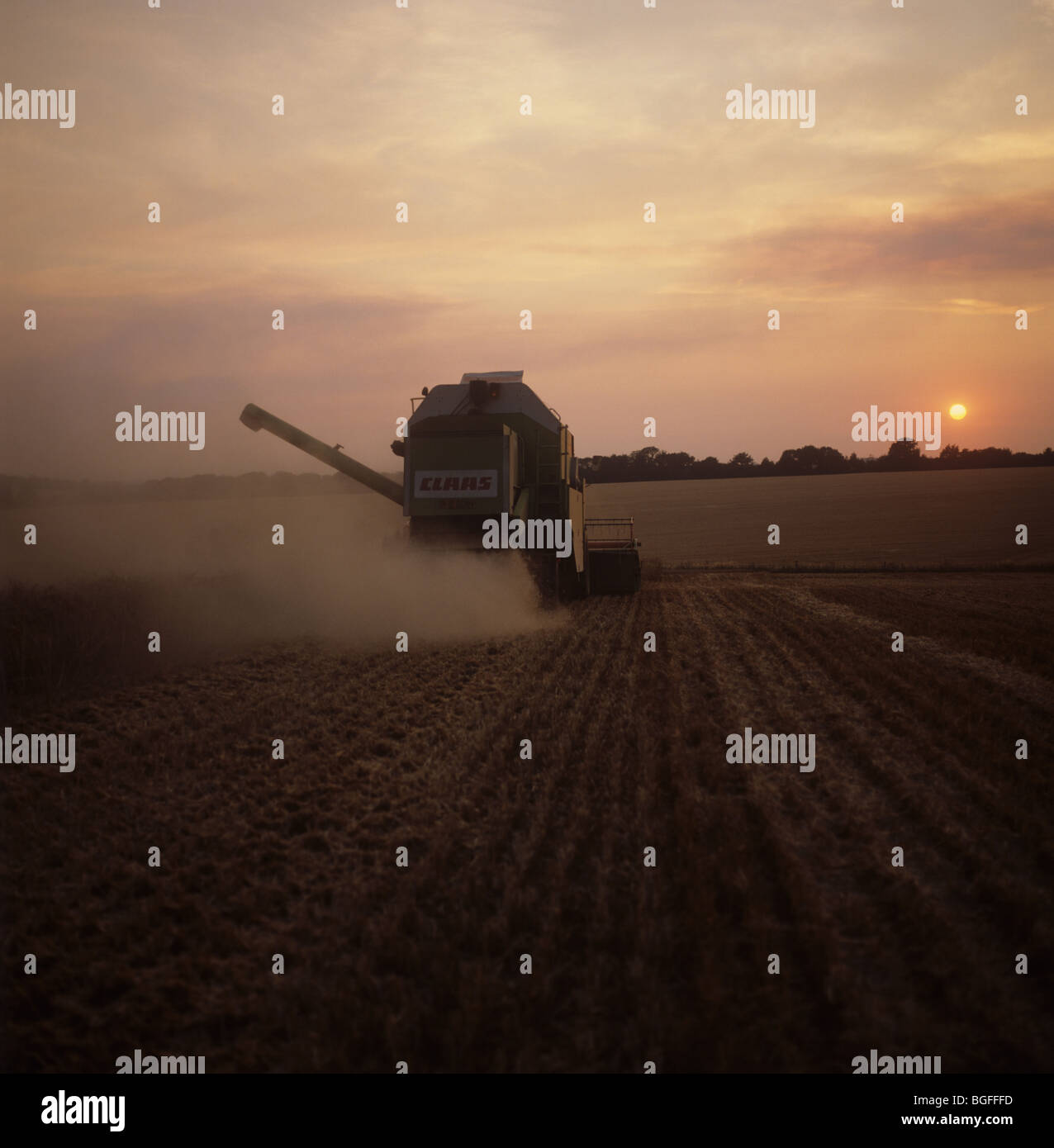 Combiner la récolte tard un soir d'été avec le soleil baigné dans la lumière orange, Berkshire Banque D'Images