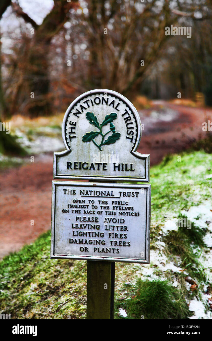 Reigate Hill National Trust à pied, chemin North Downs Banque D'Images