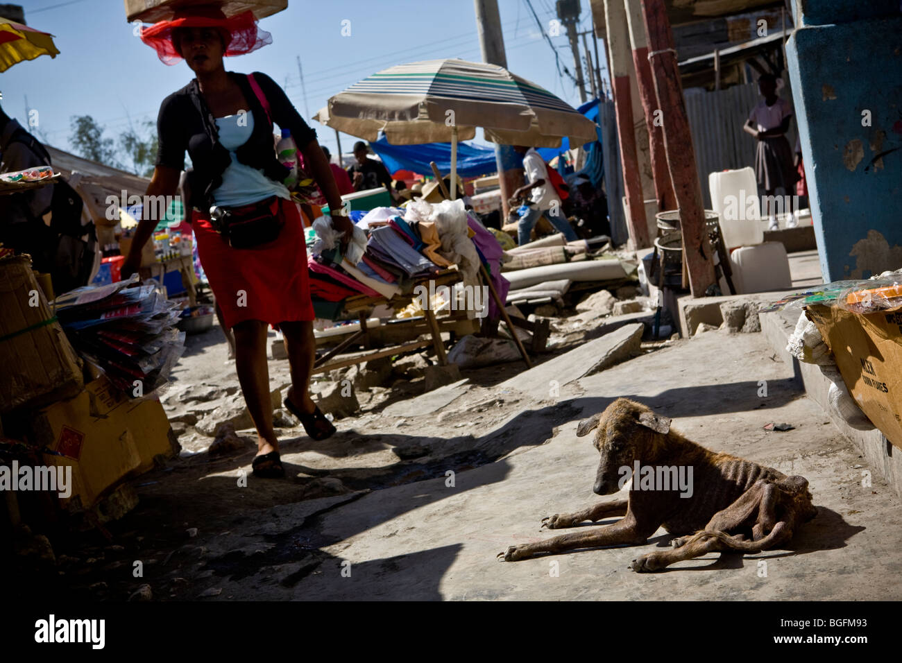 Scène de rue à Gonaïves, le Département d'Artibonite, Haïti montrant un chien décharné. Banque D'Images