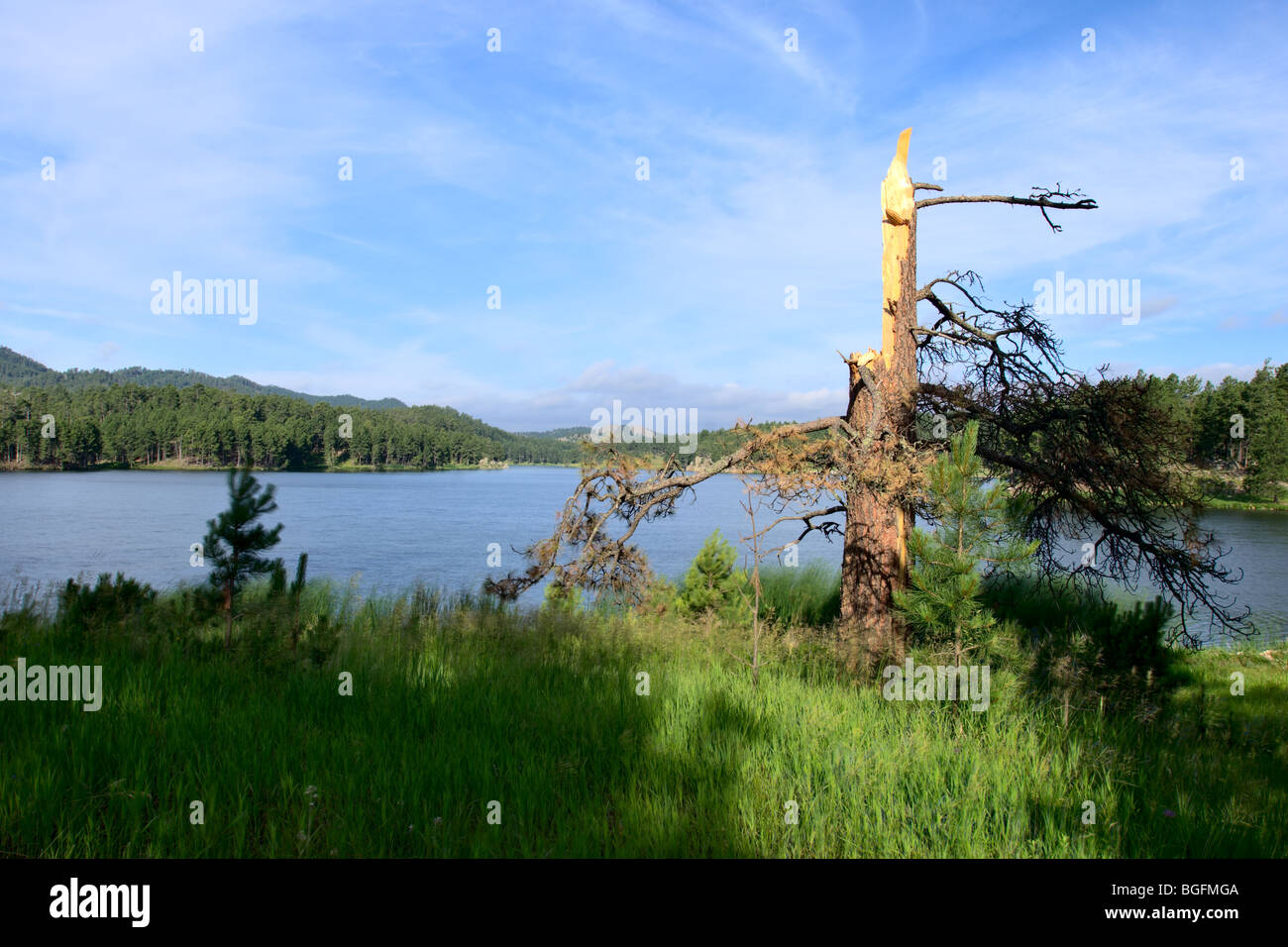 Paysage d'un lac dans la région de Custer State Park, dans le Dakota du Sud. Banque D'Images