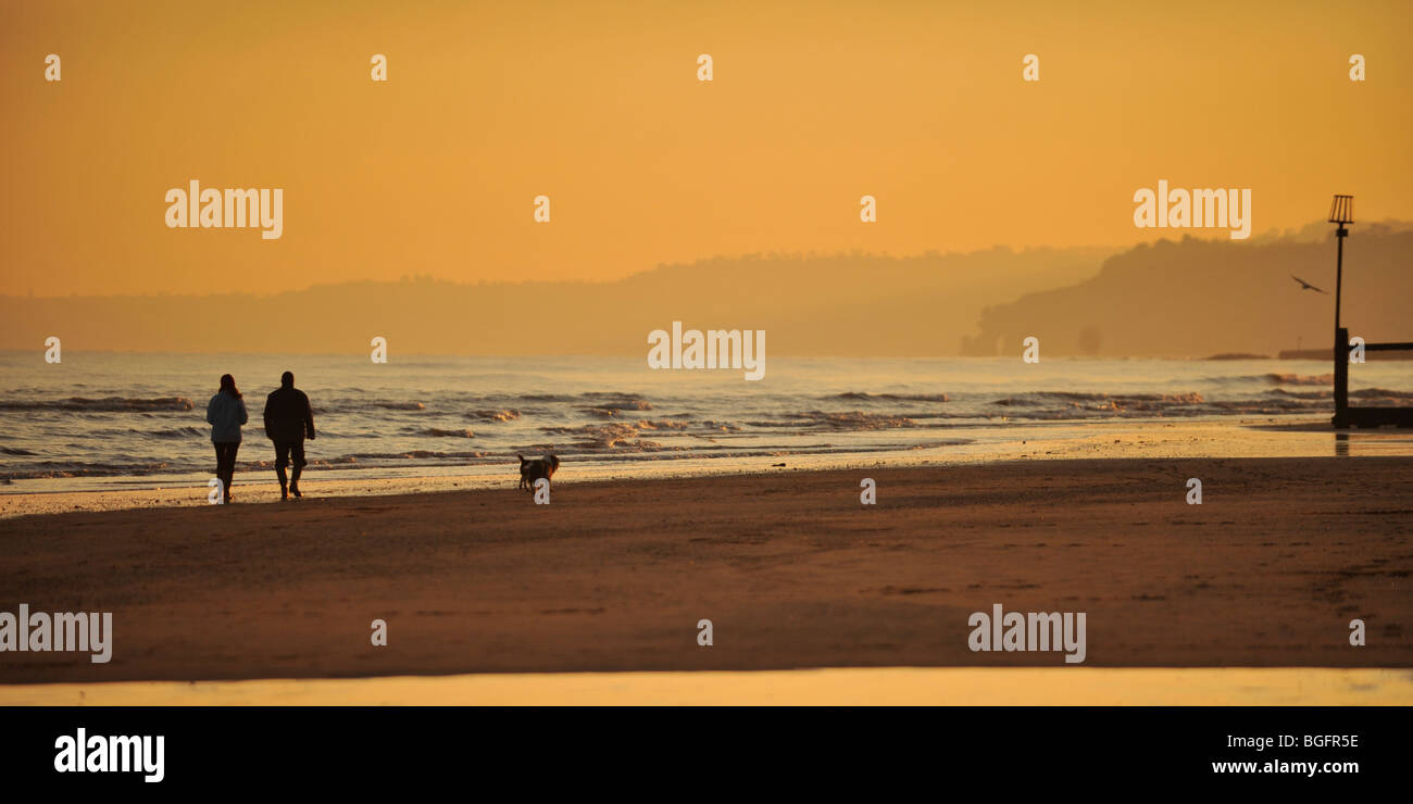 Couple dog walking on sunset beach Banque D'Images