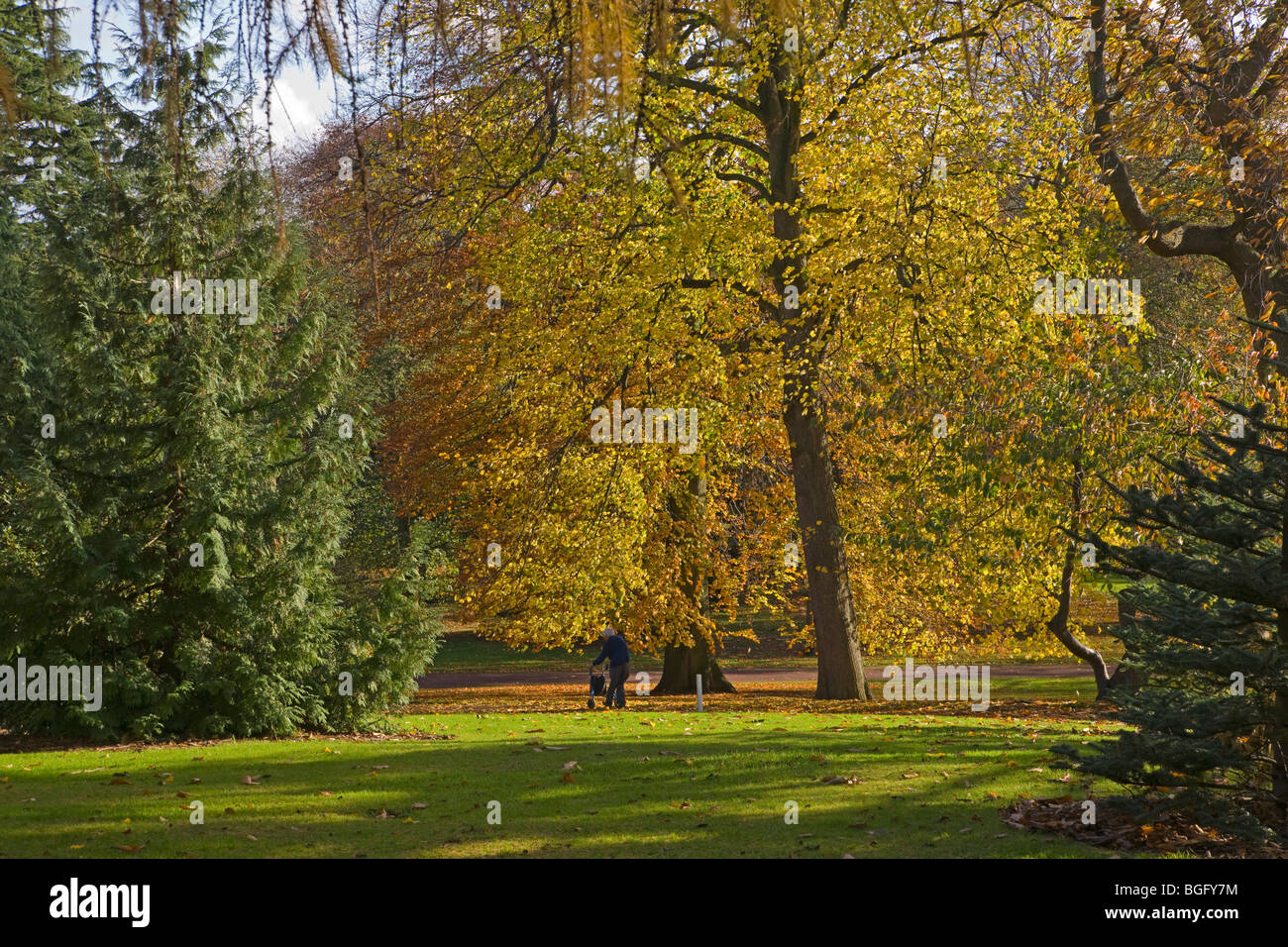 Couleurs d'automne, Édimbourg, Royal Botanic Gardens, Lothians, Ecosse, Octobre 2009 Banque D'Images